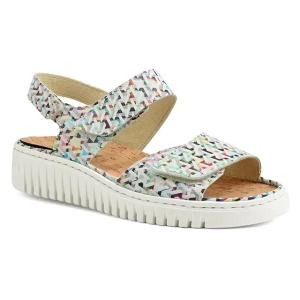 Waldlaufer - H-Willow