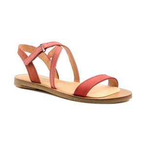 El naturalista - N5196