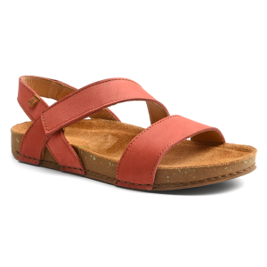 El naturalista - N5791 Balance
