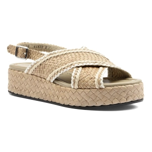 Pons quintana - 10734