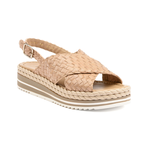 Pons quintana - 9797