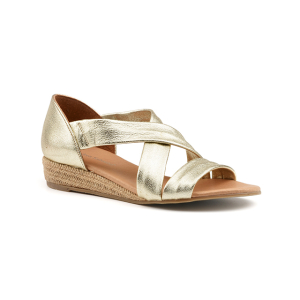 Andrea sabatini - CO44281