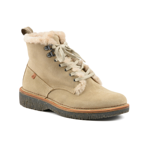 El naturalista - Volcano