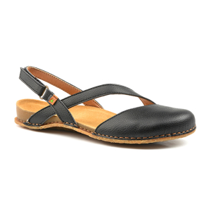 El naturalista - Panglao N5813T path