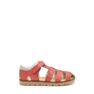 Benjie - Muralto  Junior Rouge