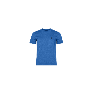 On running - "Train Flex-T