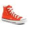 CHUCK TAYLOR ALL STAR HI