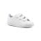 STAN SMITH CF C