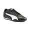 Puma Catch