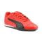 Puma Catch