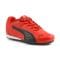Puma Catch