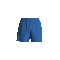 "5' Core Shorts