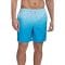 Short de bain 'Graphite Stripe Core Volley' pour Hommes