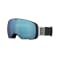 Comp Vivid Goggle