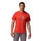 CSC™ Seasonal Graphic Tee