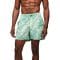 'Ombré Medium Length Drawstring 5 Swim Trunks' pour Hommes"