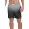 Short de bain 'Graphite Stripe Core Volley' pour Hommes