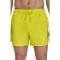 'Core Swim Trunks' pour Hommes