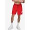 Short de bain 'Ny Core Volley' pour Hommes