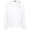 Men's 'Polo Pony Motif' Sweater