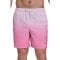 Short de bain 'Graphite Stripe Core Volley' pour Hommes