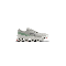 Cloudmonster 1