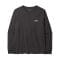 M's L/S Fitz Roy Foothills T-Shirt