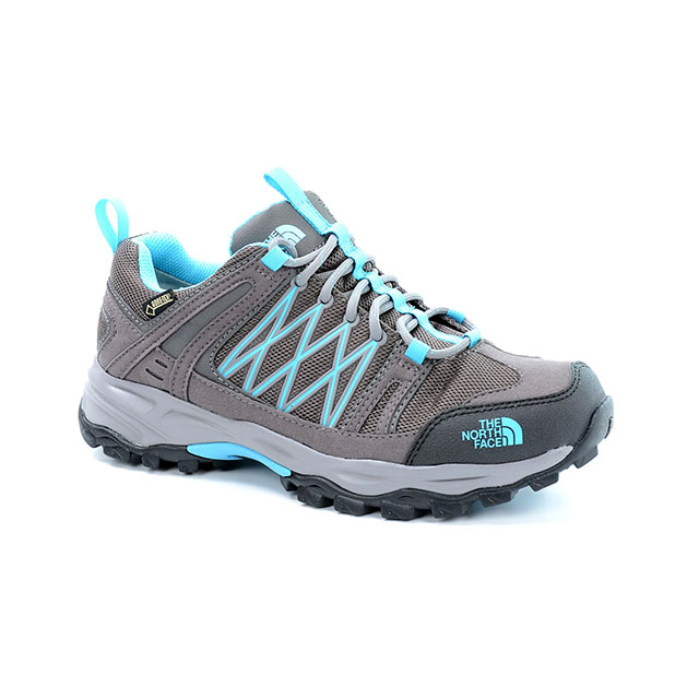 north face alteo gtx